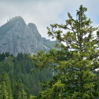 unterm Wendelstein das winzige Türkenköpfl
