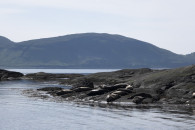 Sgurr na Stri, Isle of Skye, Schottland