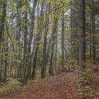 Altmühltal Bayern