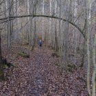 Altmühltal