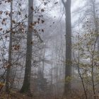 Altmühltal