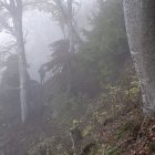 Altmühltal