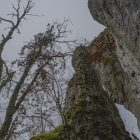 Altmühltal
