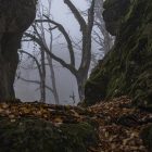 Altmühltal