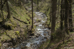 Hochkreuth, Bayerische Voralpen