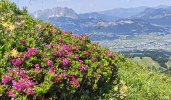 HANS SEiDL FOTOGRAFIE