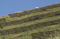 HANS SEiDL FOTOGRAFIE