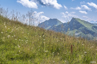 HANS SEiDL FOTOGRAFIE