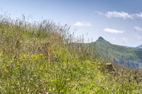 HANS SEiDL FOTOGRAFIE