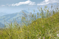 HANS SEiDL FOTOGRAFIE