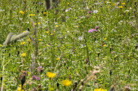 HANS SEiDL FOTOGRAFIE