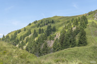 HANS SEiDL FOTOGRAFIE