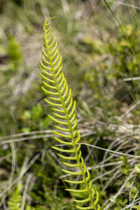 HANS SEiDL FOTOGRAFIE