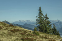 Rosskopf Kitzbüheler Alpen