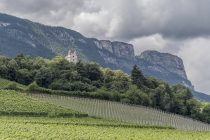Heilig-Kreuz-Kirche mit Mendelkamm
