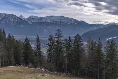 Grauer Stein Bayerische Voralpen